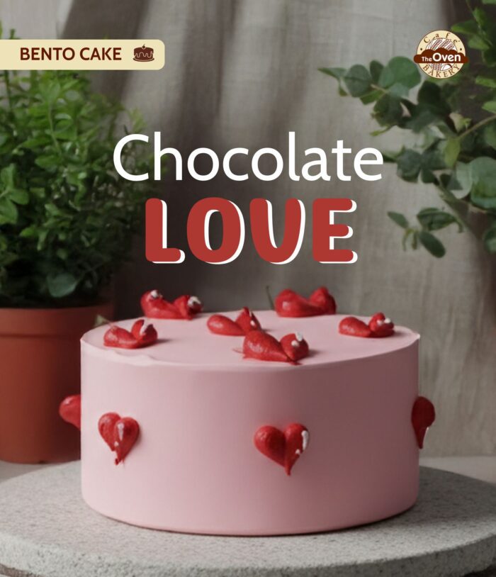 Chocolate Bento Cake - Image 1